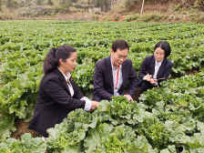云浮农商银行：以“三个聚焦”助力稳经济，惠民生丨金融活水润泽“百千万工程”㉒
