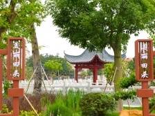 田头村：党群齐参与 村居焕新颜｜一村一品 犇向和美⑪