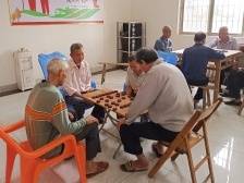 吴川：织密“一张网” 劲吹文明风