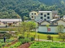 梅州市梅县区：绿色“动脉”串起乡村新风景