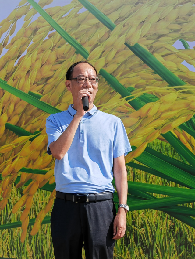 筛选品种擦亮品牌！省农科院水稻所助力清远丝苗米发展