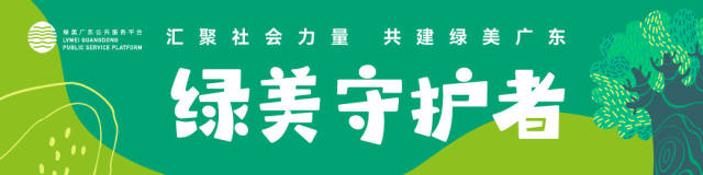 一起爱护大自然！中国“树王”发现者、百万粉丝科普达人为绿美广东代言