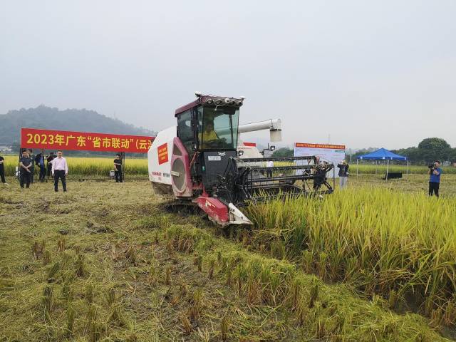 南方农村报 郑建斯 拍摄