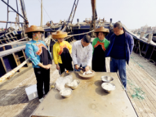 博贺渔民录：勤劳勇耕南海情|滨海茂名 港城风采⑱