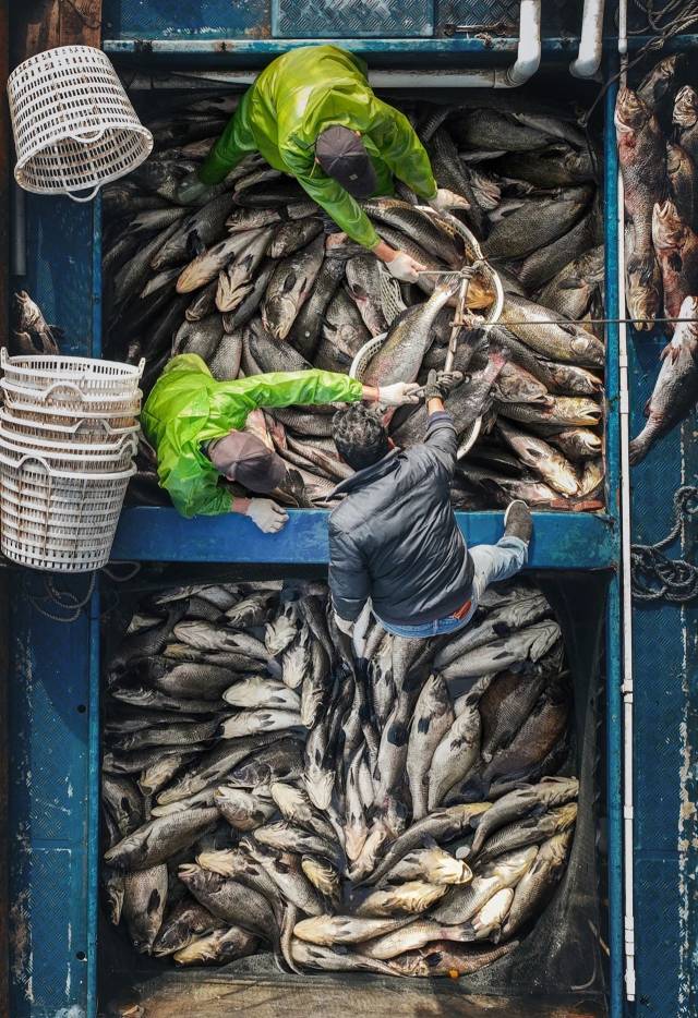 满载的海鲜，展现着大海的丰盛。城市穿梭客摄