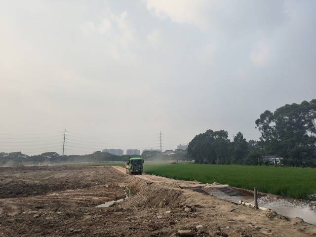 在厚街镇，姚雅正在打造全市第一家以耕读文化为主题的稻田公园