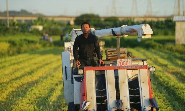 姚雅驾驶着农机（受访者供图）