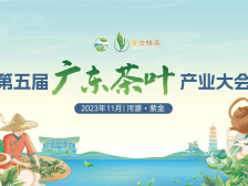 定了，就在紫金！