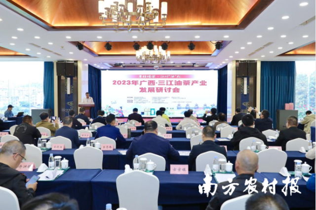 2023广西三江油茶产业发展研讨会现场。