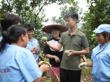 化州：“新农人”绘出“百千万工程”新画卷