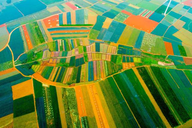 南方农村报 惠婷婷 拍摄