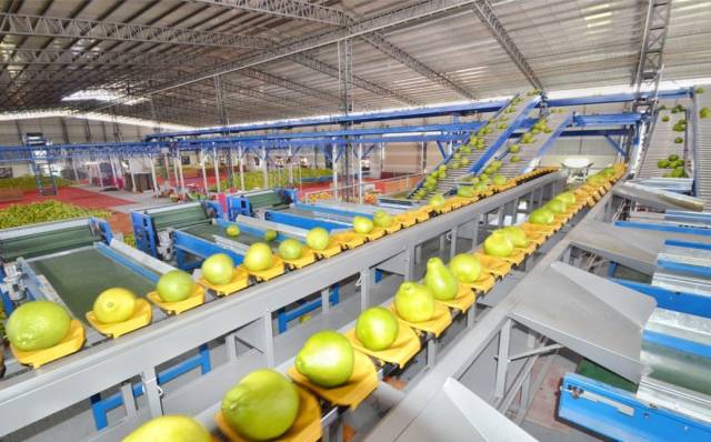 南方农村报 惠婷婷 拍摄