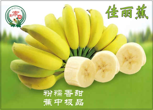 “勤家园”香蕉