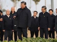 【央视快评】用恢复重建成果和人民群众满意度来检验主题教育成效