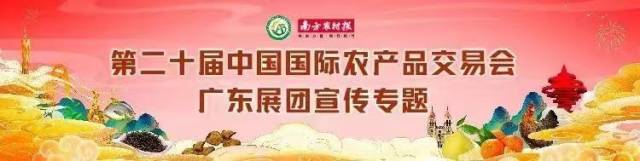 益农信息社代表陈耀腾：带领广东小油柑亮相农交会大平台