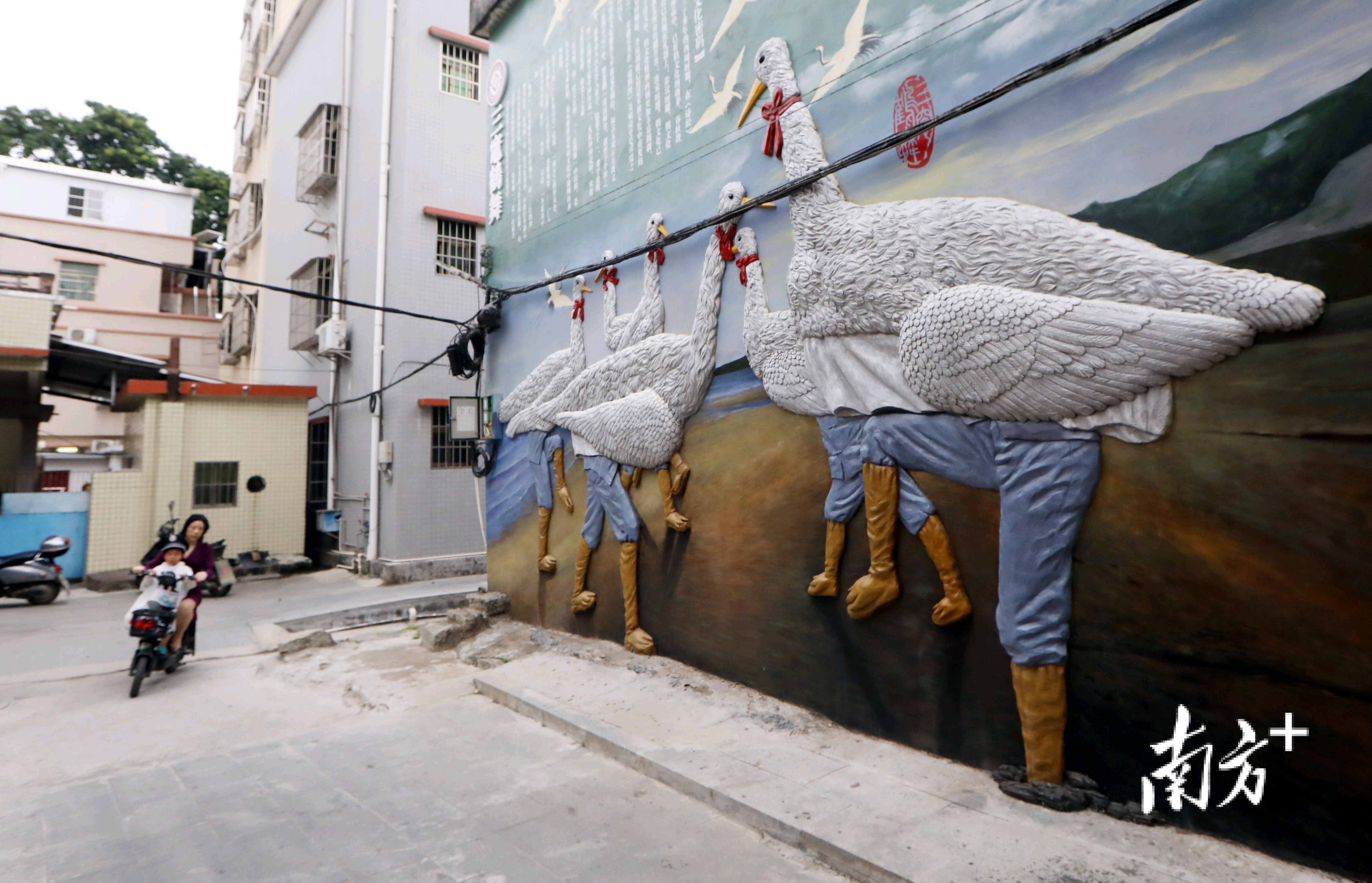 三灶鹤舞。&nbsp;