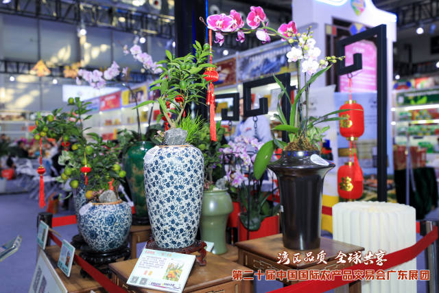 广东展馆内花卉布置尤为吸睛。