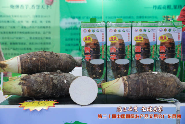 乐昌炮弹芋头。