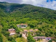 梅县区桃尧镇：农文旅融合打造省际边界绿色低碳特色镇|竞跑百千万·梅县镇能量⑮