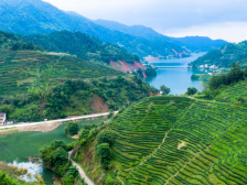 祝贺！紫金再添省级荣誉