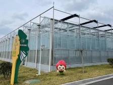 “全国首笔”背后，这一可持续发展挂钩贷款凭什么？