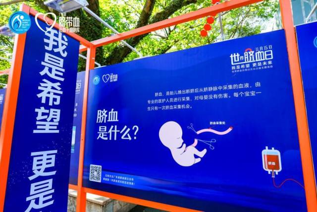 脐血科普展板。  
