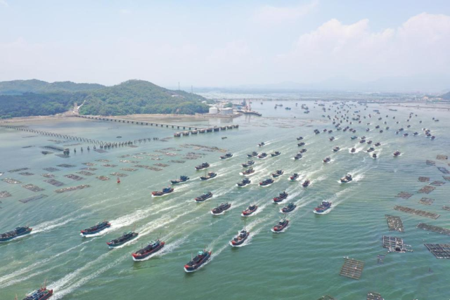 饶平海湾。