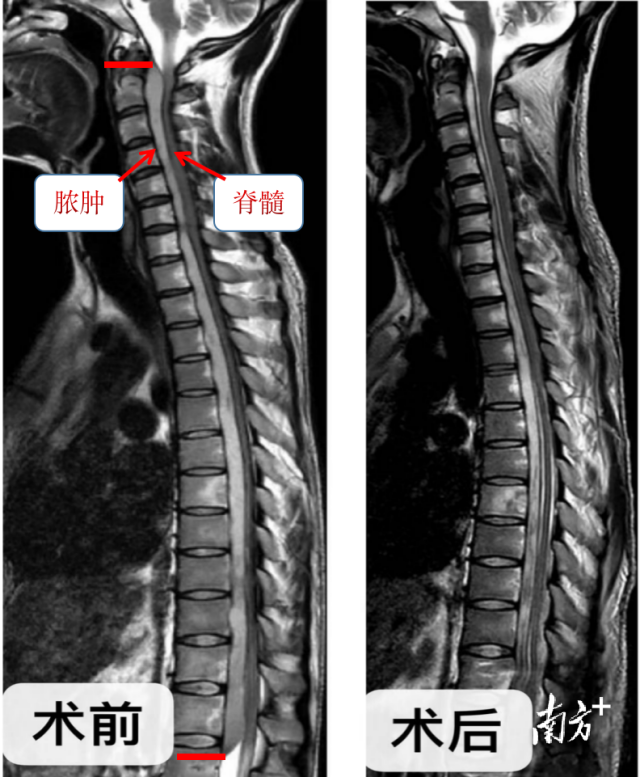 通讯员 三院 供图