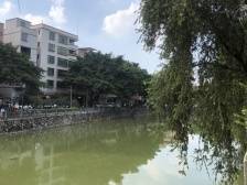 花都新雅扎实开展人居环境整改，落实“百千万工程”