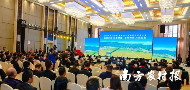 2023中国（增城）丝苗米产业高质量发展大会现场