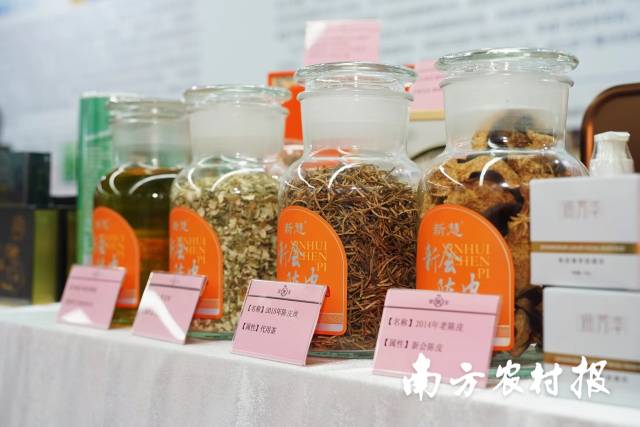 南海经济总部基地现场展示展销广东特色农产品