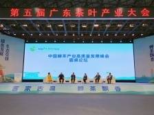 紫金蝉茶如何打开全国市场？中国蝉茶产业高质量发展峰会话你知