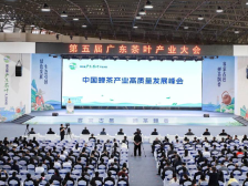 茶业大咖齐聚，共话中国蝉茶高质量发展