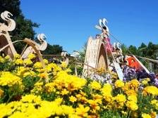 绿美羊城菊之韵，第64届羊城菊会开幕