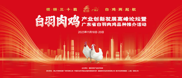 大咖云集，白羽肉鸡产业创新发展高峰论坛在广州举办
