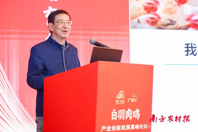 中国农业科学院农业农村部食物与营养发展研究所副所长王济民分享《肉鸡产业发展形势与前景》
