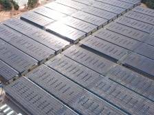 南方快评｜现场会开进镇村，肇庆推动“百千万工程”有何动向？