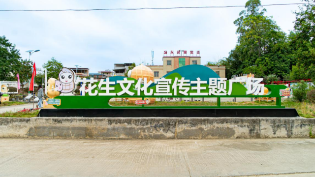 连平县忠信镇新下村落是连平忠信花生的主要种植地之一。李睦宇摄