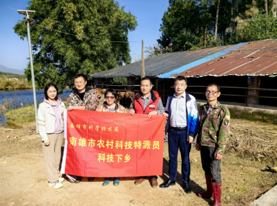 特派员团队牛场指导