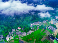 梅县区南口镇：扭紧七大抓手 发力向“高”而行|竞跑百千万·梅县镇能量⑯