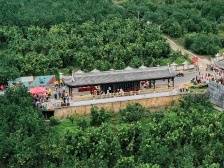 视觉|再添“省字号”荣誉，梅县区雁洋镇有何“绿色密码”