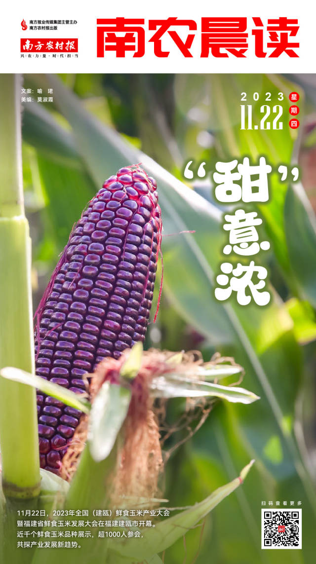南方農(nóng)村報(bào) 樊靜東 制圖