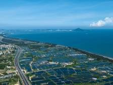 冬日来茂名滨海新区看海：静待崭新的开场