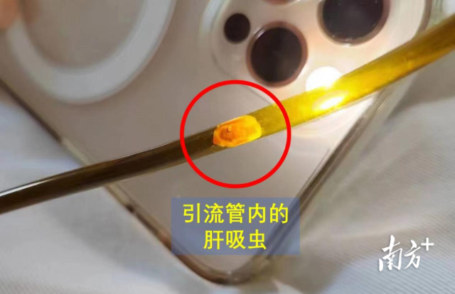 通訊員 三院 供圖