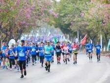 欢跑山水中！肇庆马拉松亮点抢先看