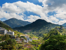 农行云浮分行：用金融力量给乡村建设添“绿”增“富”丨金融活水润泽“百千万工程”㉖