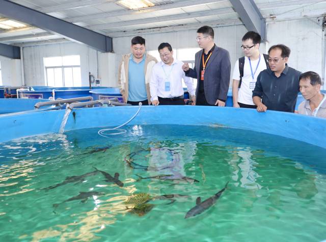活體黃鰭金槍魚是國內(nèi)首次展出,。