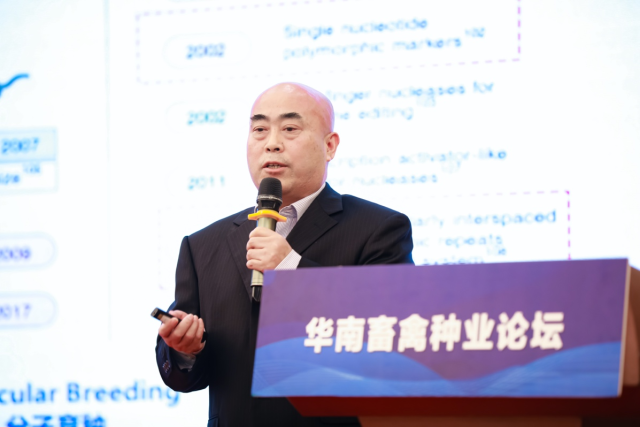 华智生物技术有限公司首席数据官贾高峰博士分享《生物技术与数据技术在畜禽育种中的运用》