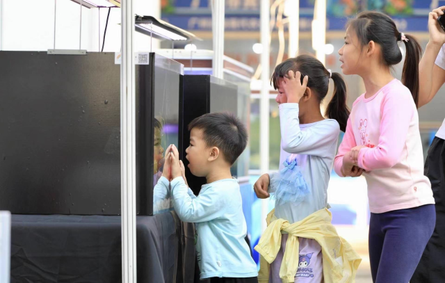 小孩们围观五光十色的观赏鱼。