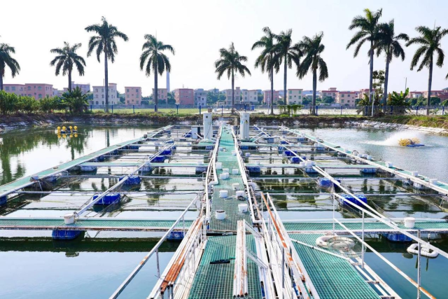 室外池塘展示。